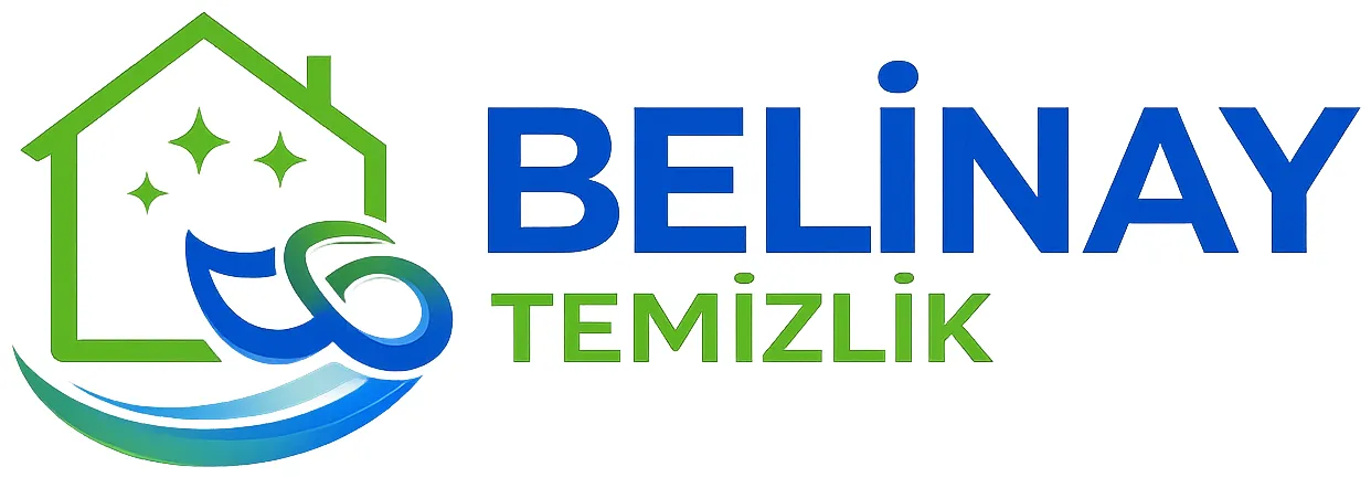 Belinay Temizlik - Web Tasarım Projesi
